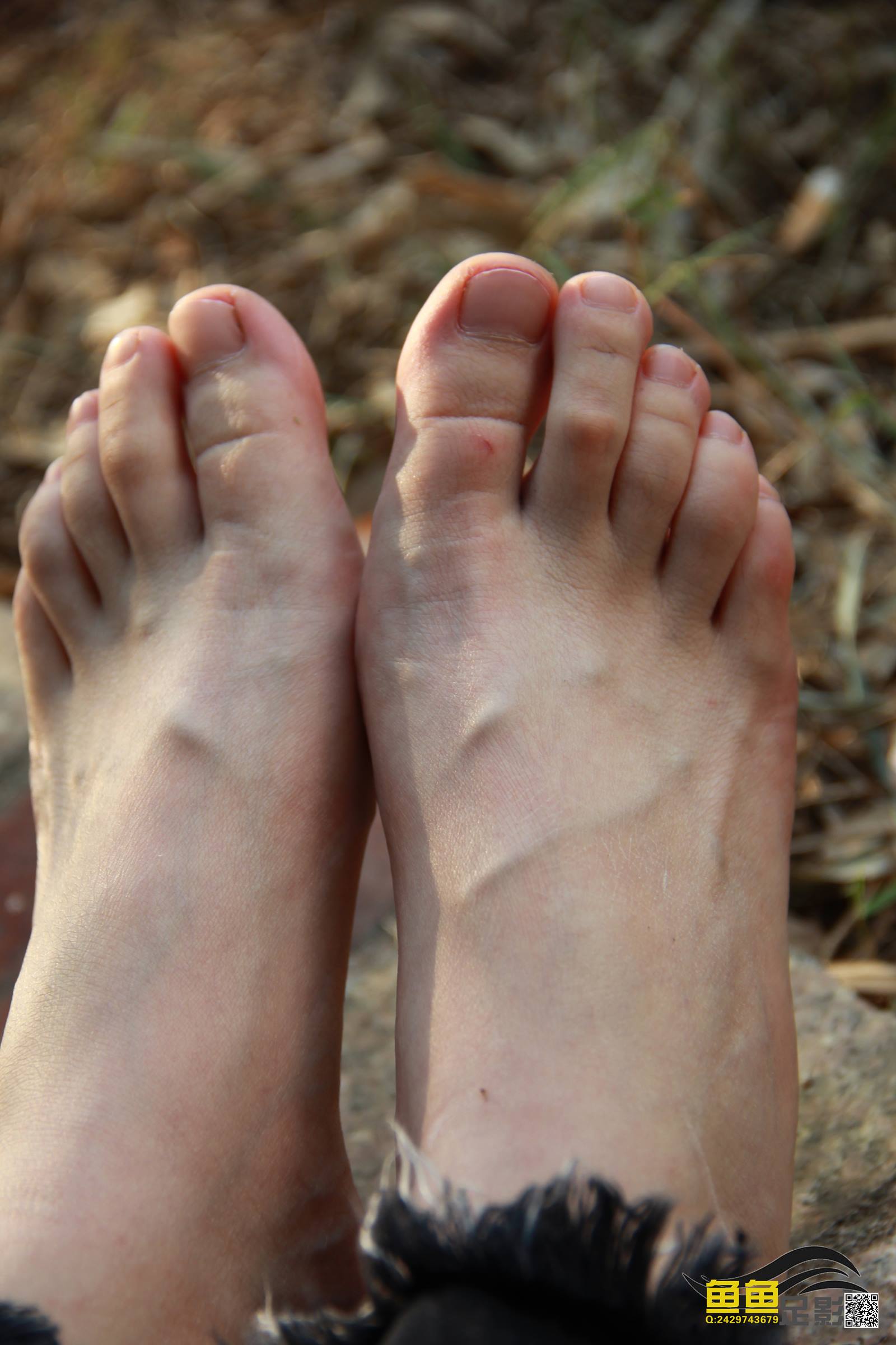 鱼鱼足影@029-第29期：柳婷[31P/67MB]