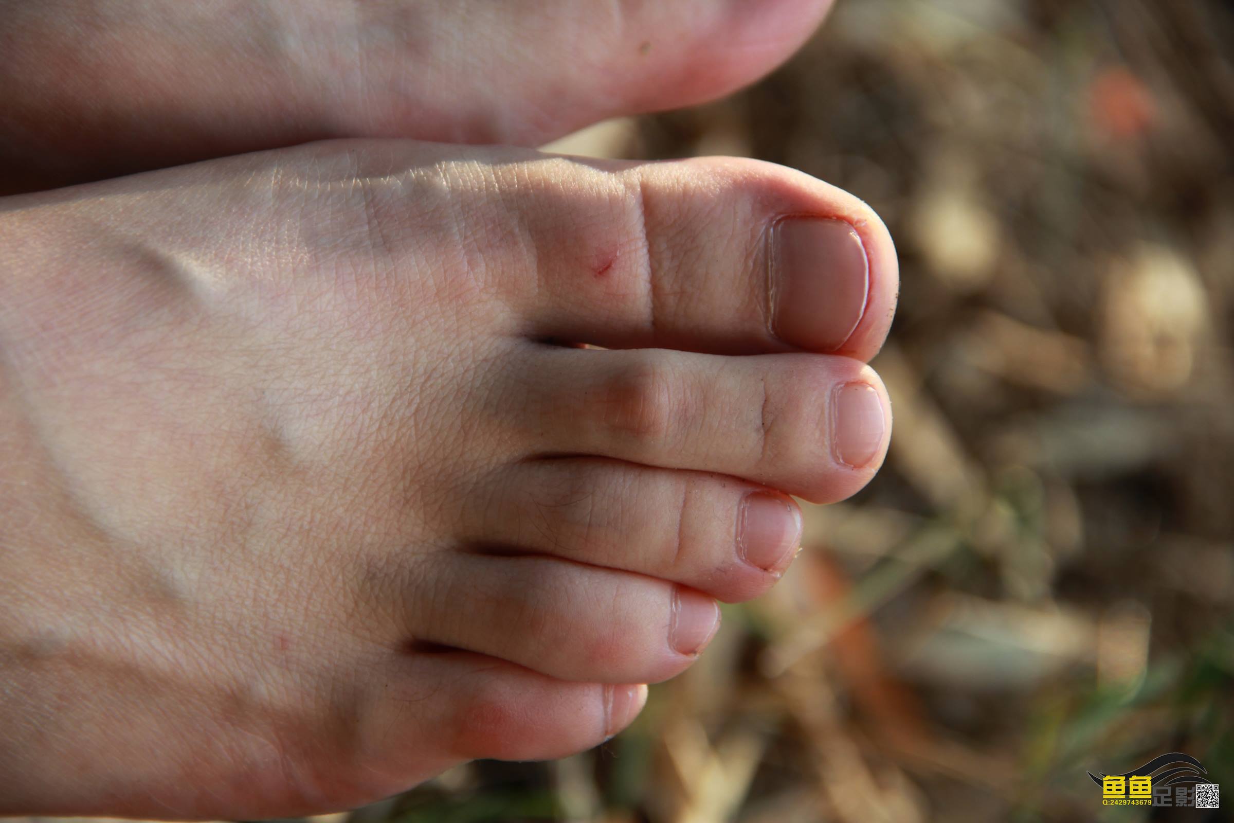 鱼鱼足影@029-第29期：柳婷[31P/67MB]