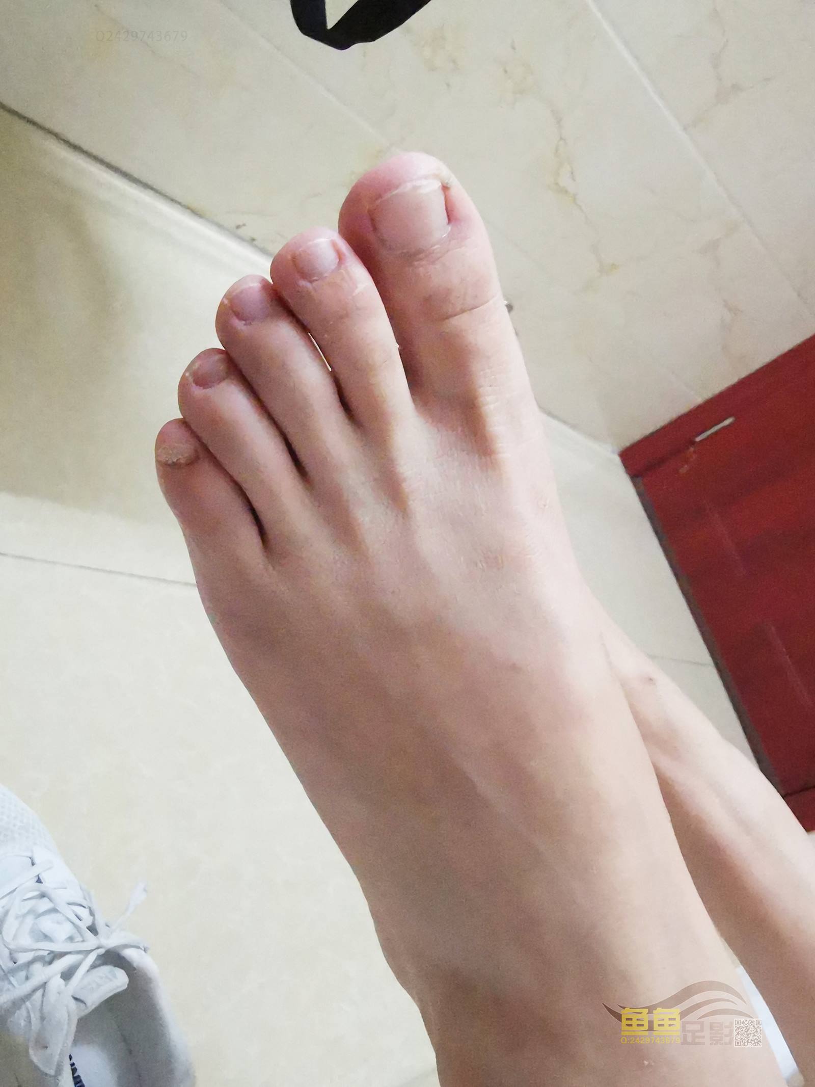 鱼鱼足影@043-第43期：慧婷[114P/507MB]