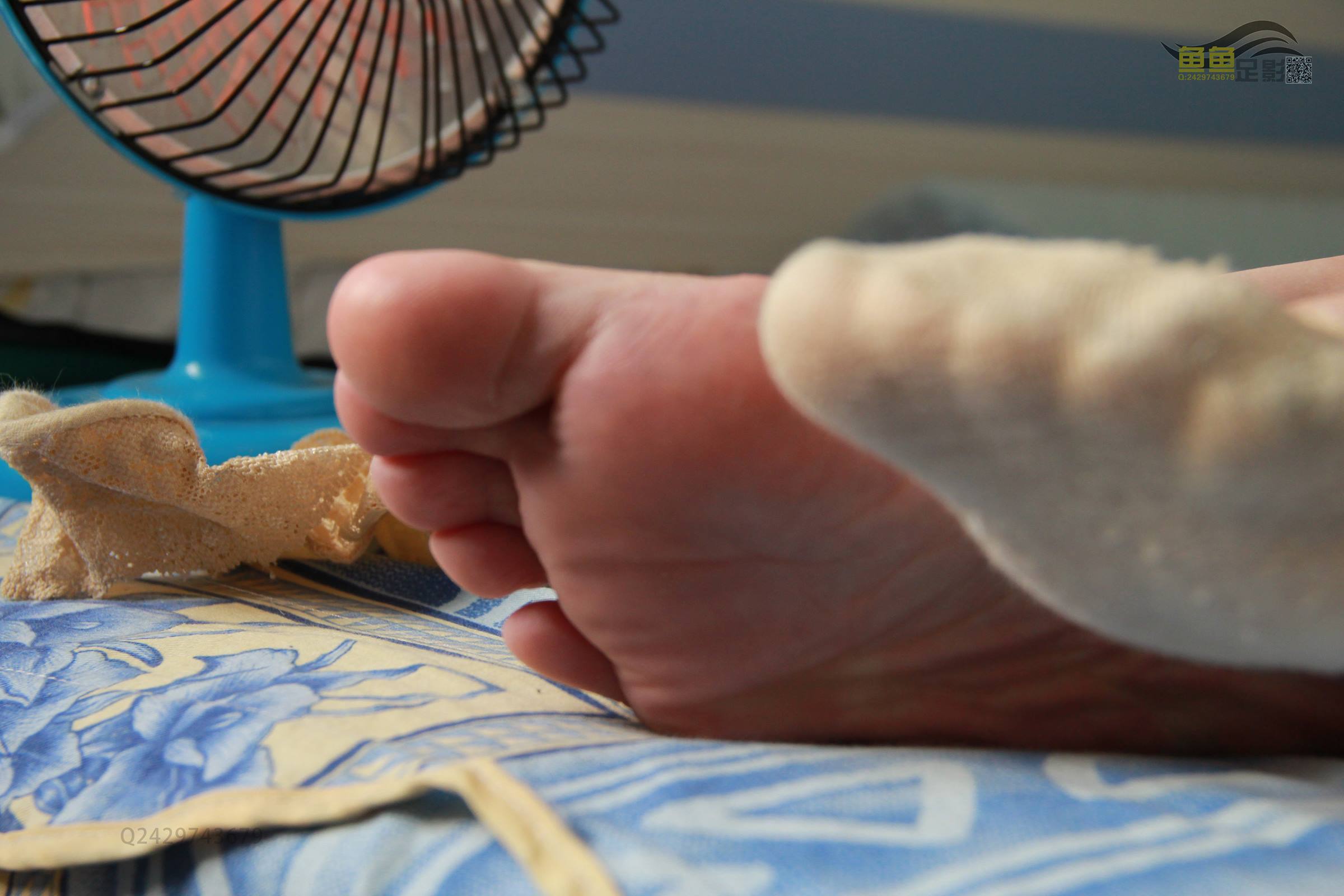 鱼鱼足影@046-第46期：莉莉[27P/63MB]