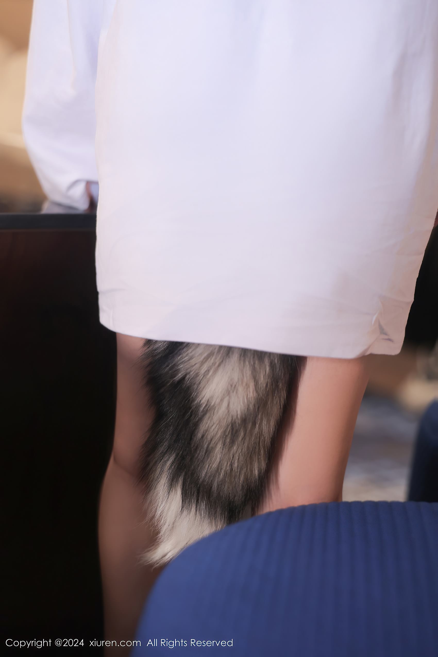 [Xiuren秀人网]2024.03.18 NO.8245 媃柔[87+1P/811MB]