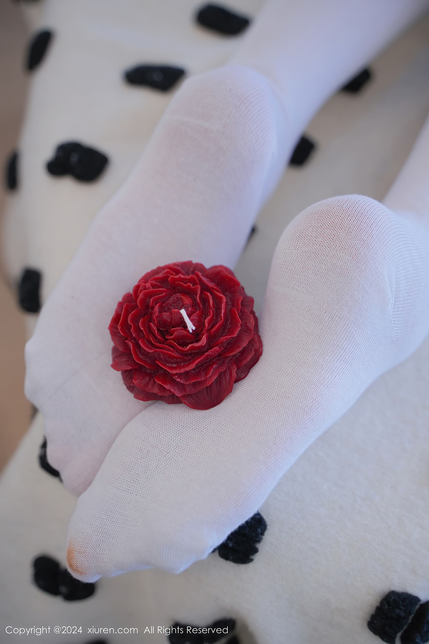 [Xiuren秀人网]2024.03.21 NO.8268 晚苏susu[69+1P/551MB]