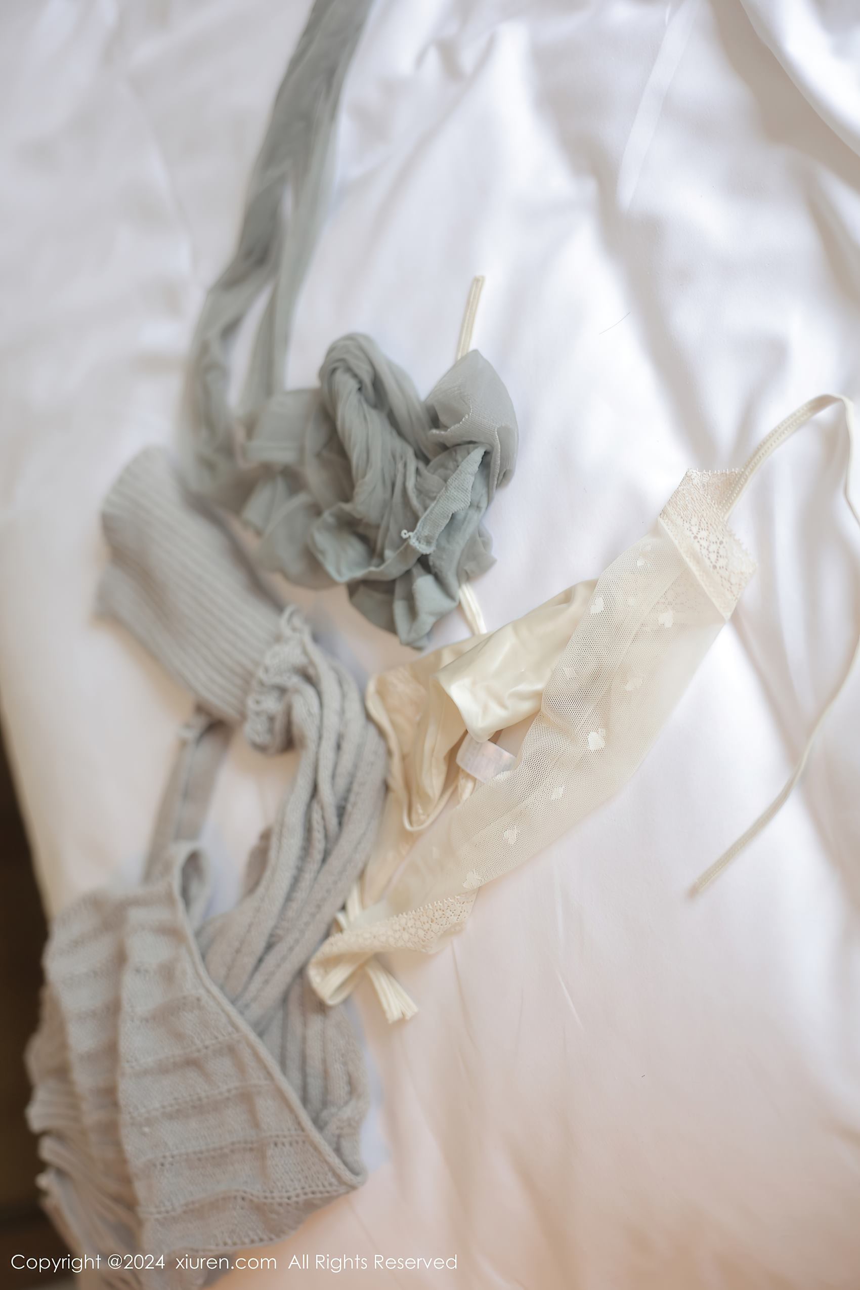 [Xiuren秀人网]2024.03.20 NO.8259 金小依[77+1P/689MB]