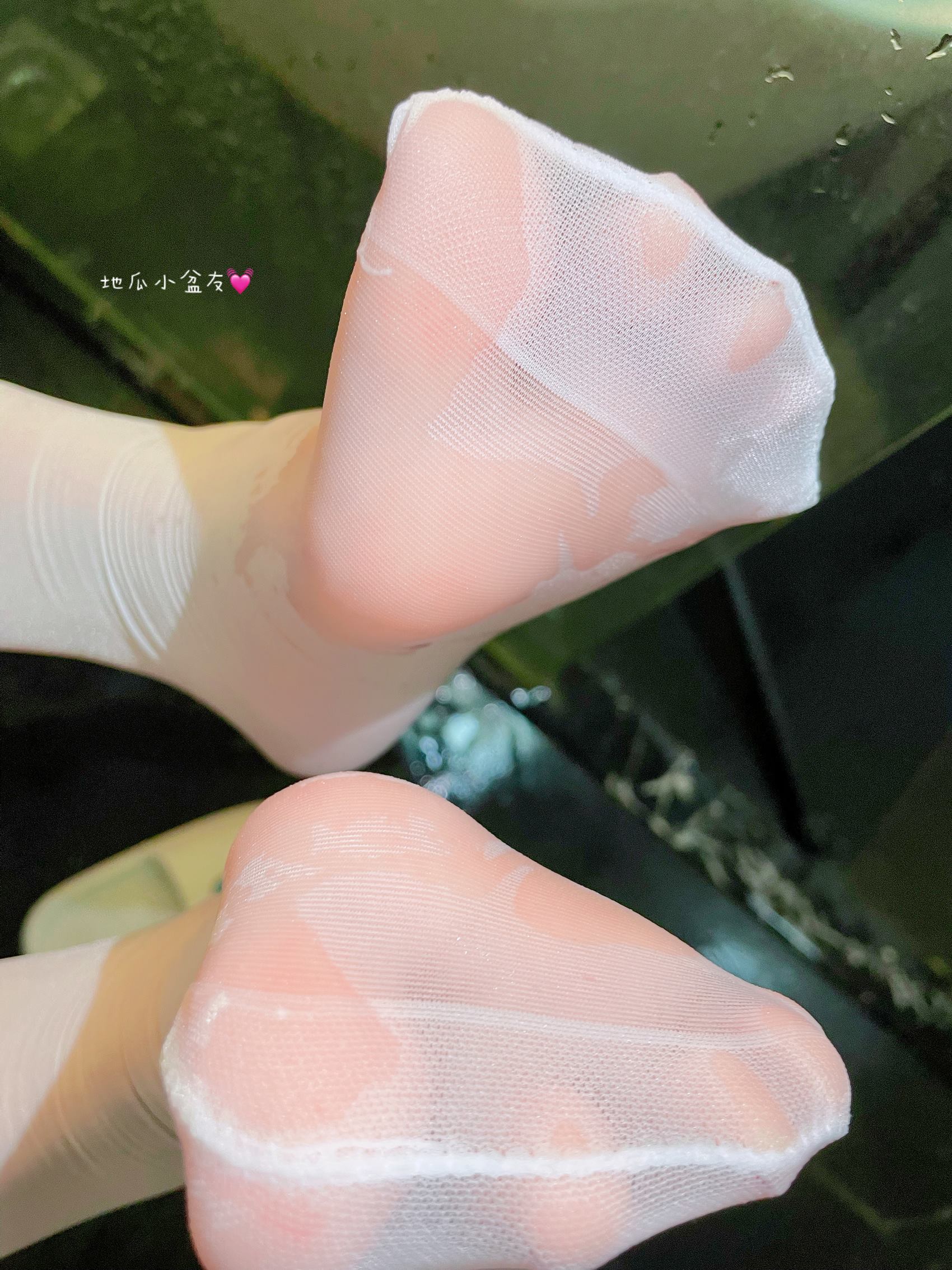 网紅Coser@地瓜小朋友 -猫咪[24P/551MB]