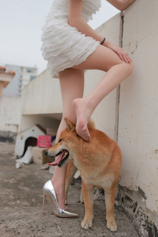 [IESS异思趣向] 耽丝 211206 女神佳爷特辑 [93P/96MB]