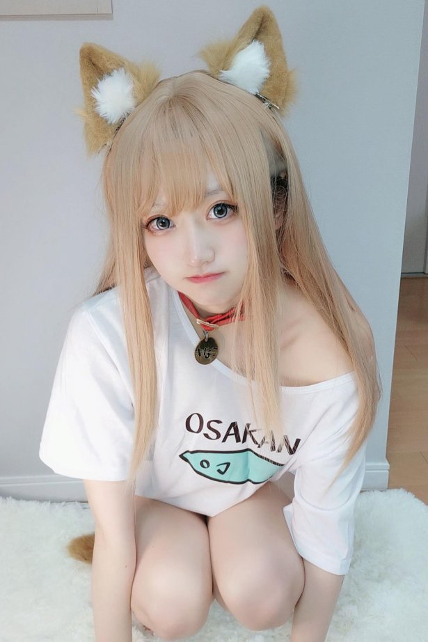 千阳(ちよ) - 40原设猫猫[13P/15MB]