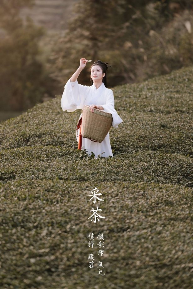 [YITUU艺图语] 2022.03.08 采茶 藏茗 [31P/276MB]