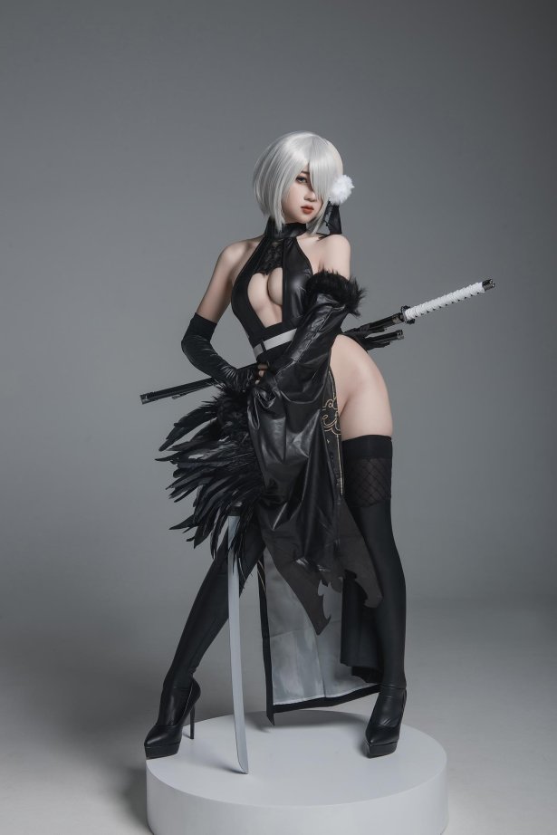 瓦斯塔亚小龙虾 - 2号B型 忍者[42P/693MB]