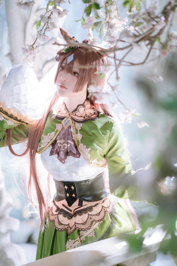 黑龙贯通 - 赛马娘[14P/85MB]