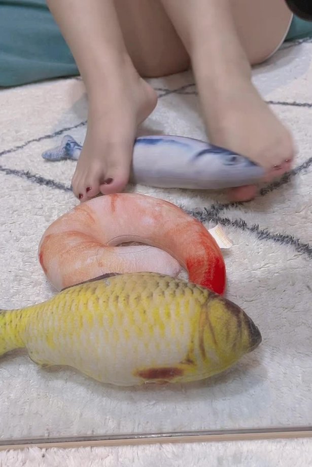 地瓜小盆友 - 果足海鲜[1V/236MB]