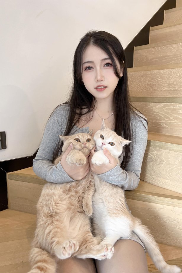 不呆猫 - 居家猫猫女友[59P/1V/395MB]