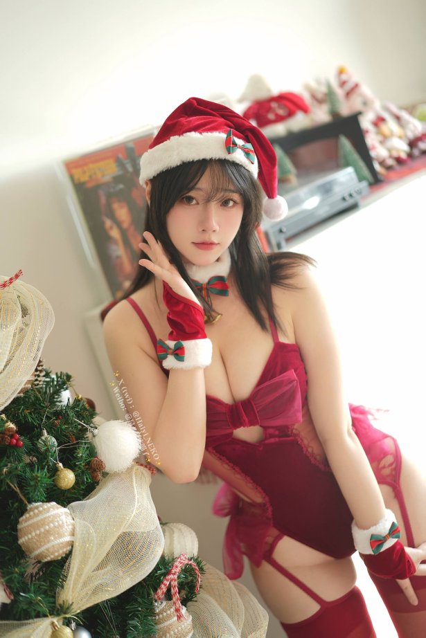 是一只废喵了 2023圣诞[45P/1V/134M]