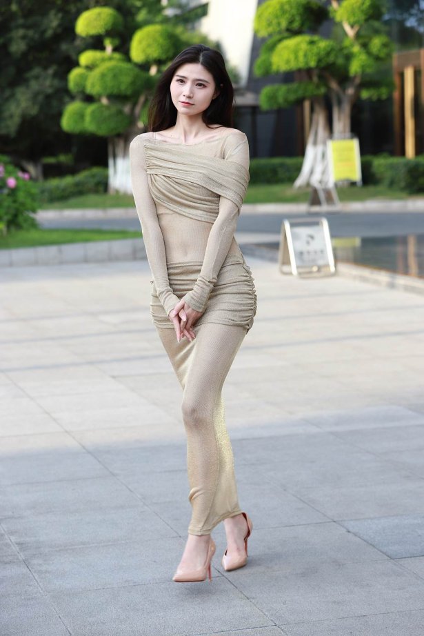 精选街拍作品 NO.6002 棕色套装裙[143P/271MB]